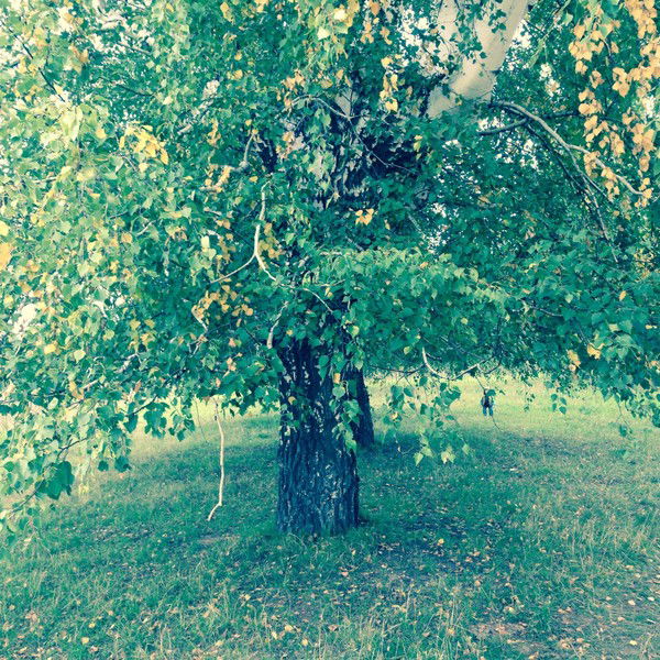 Альфия Рахимова