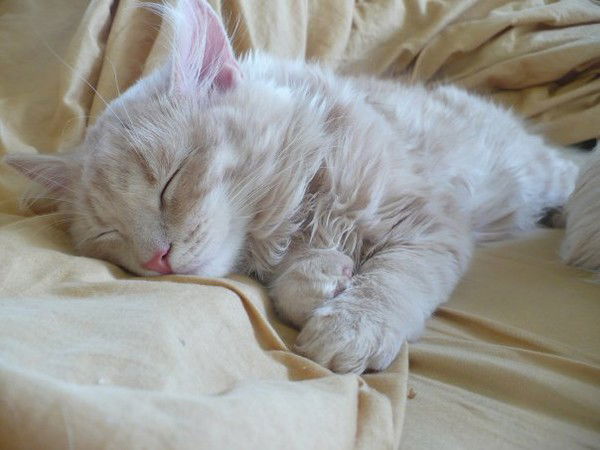 Оксана Немчинова