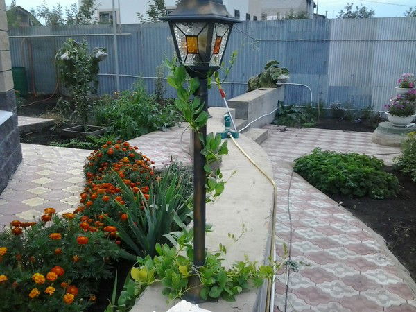 Татьяна Кархалёва