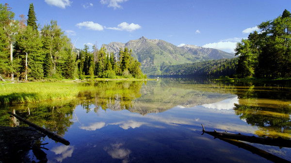 Айгуль Жексенова