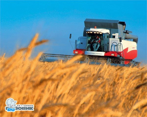 Даулетжан Айтбаев