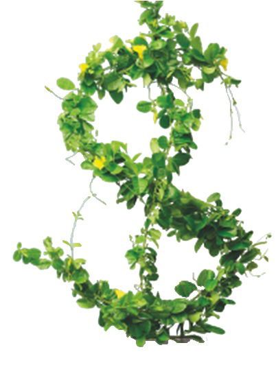 Кредитно-Страховая Биржа