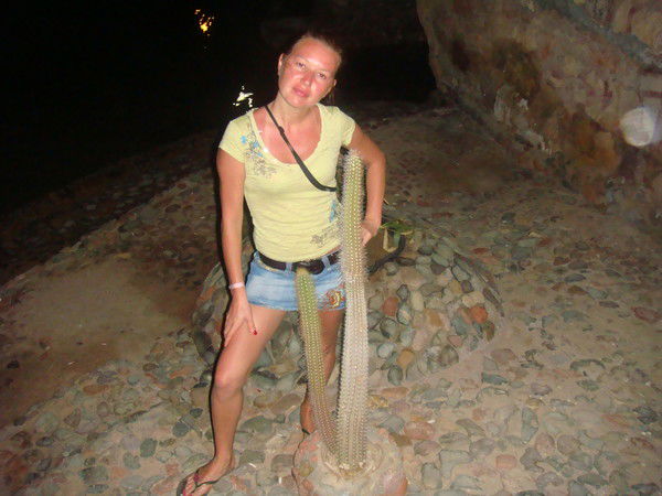 Галина Установа