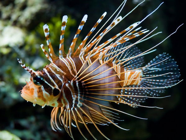 Сергей Юдин