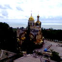 Михаил Шаповалов