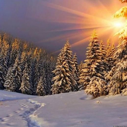 Наталья Филимоненкова