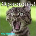 Александр Скрылев