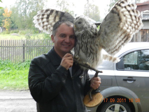 Андрей Костров