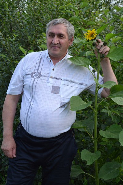 Николай Меркулов