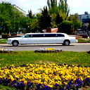 Королевский Лимузин
