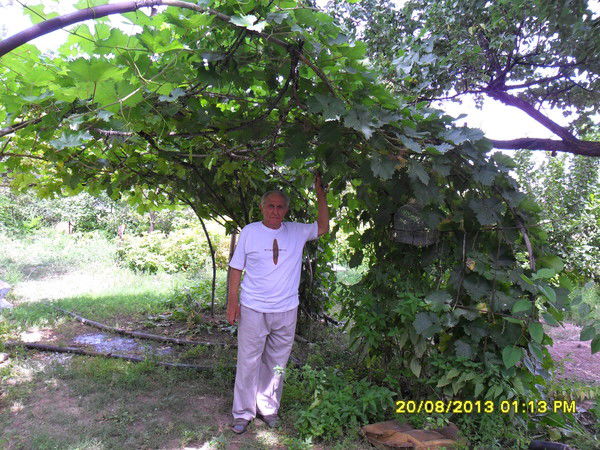 Алексей Романов