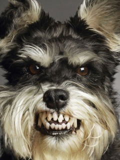 Юлия Старостенко