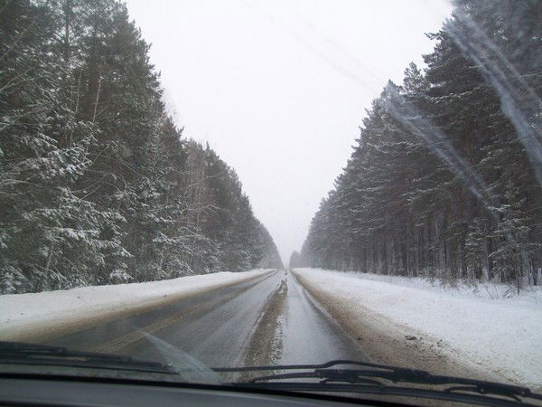 Николай Казанцев