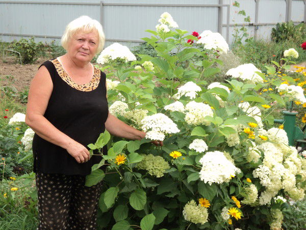 Наталья Кутовая