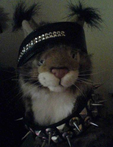 Елена Фалина