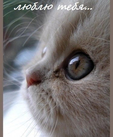 Нарине Арутюнян