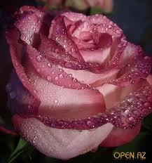 Кымбат Смагулова