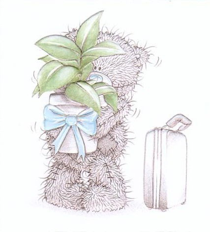 Елизавета Матвеева