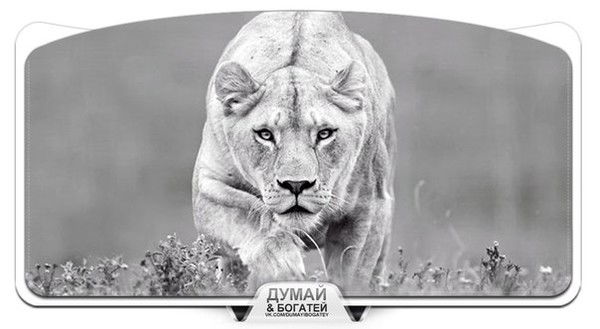 Botagoz Shaikenovautaeva