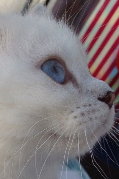 Евгения Бондарь