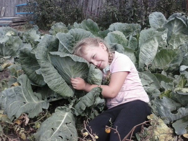 Женя Елсукова