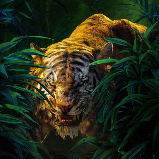 Александра Никифорук