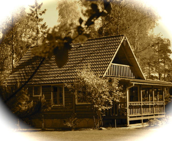 Наталья Амелина