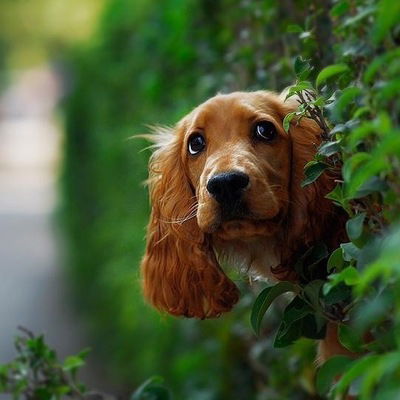 Елена Филатова