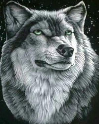 Николай Глазков