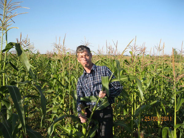 Рафаиль Хабибуллин