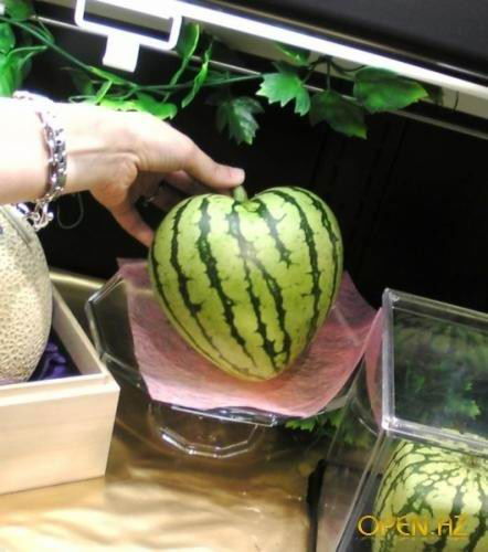 Анюта Миронова