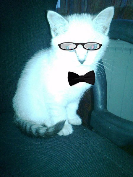 Илья Ланцевич