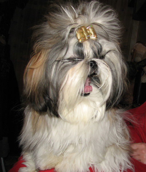 Майя Суворина