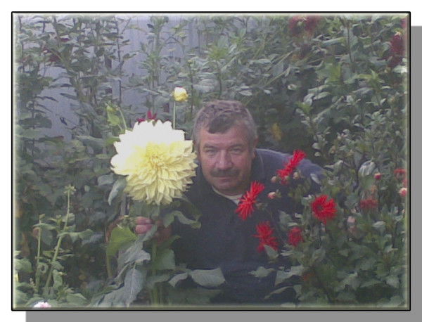 Анатолий Черкасов