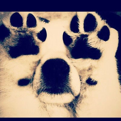 Индира Елеусизова