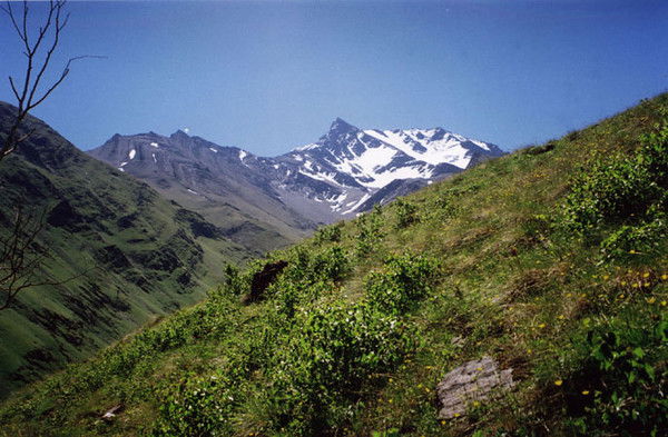 Руо Шамильск.района