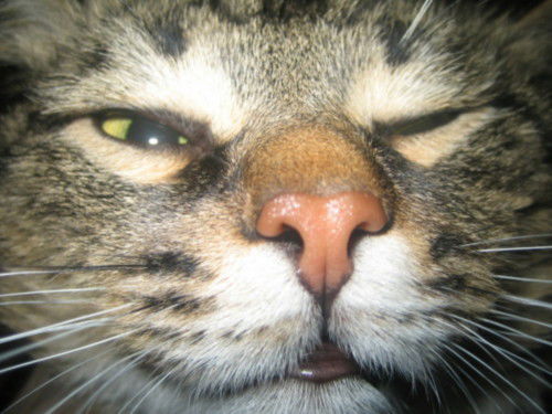 Геннадий Зейдин