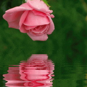 Мухаббат Ишанханова