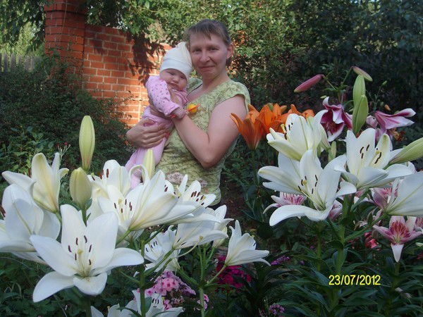 Елена Чулочникова