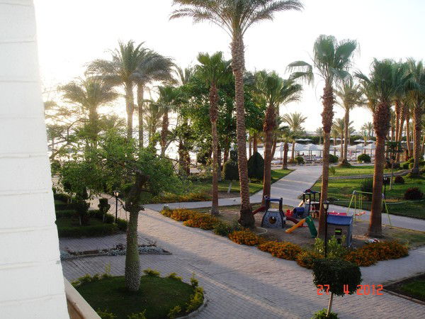 Алина Коптева