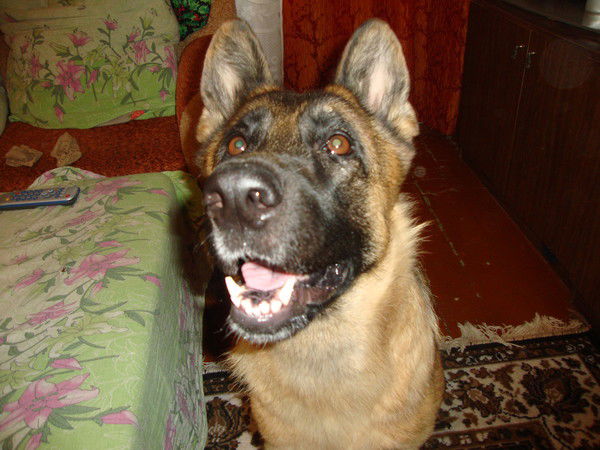 Анюта Сошникова