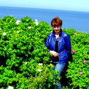 Лариса Куликова