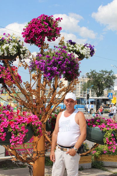 Николай Швецов