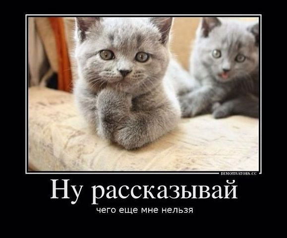 Юлия Тухватуллина