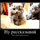 Юлия Тухватуллина