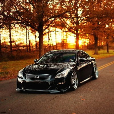 Данил Брандт