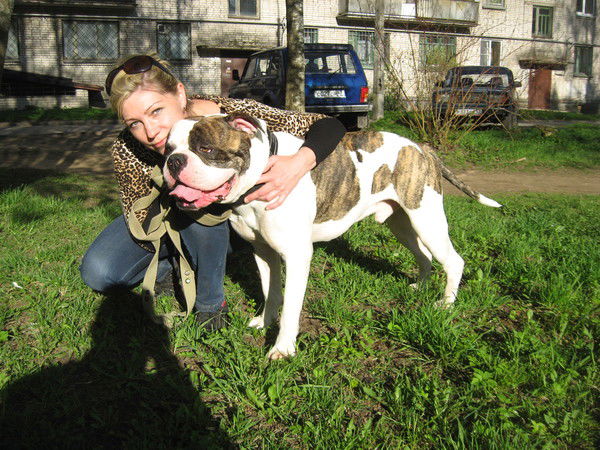 Елена Свистельникова