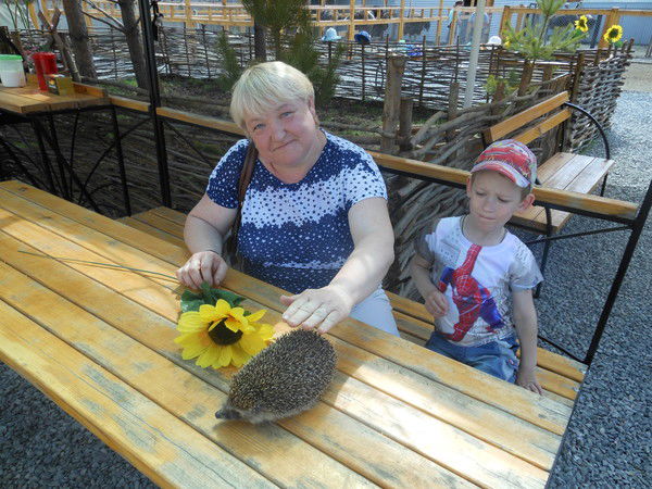 Светлана Барышникова-Ястребкова