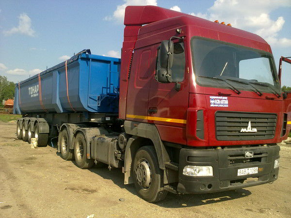 Алексей Елисеев