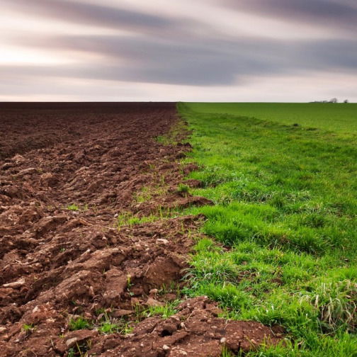 Виталий Куликовский